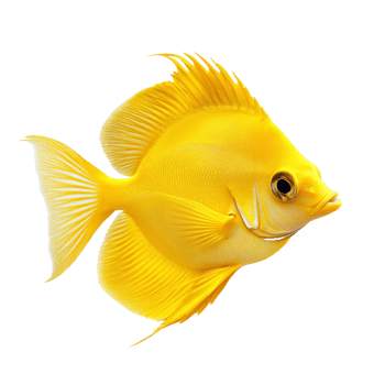 Bright yellow fish swimming gracefully in water png