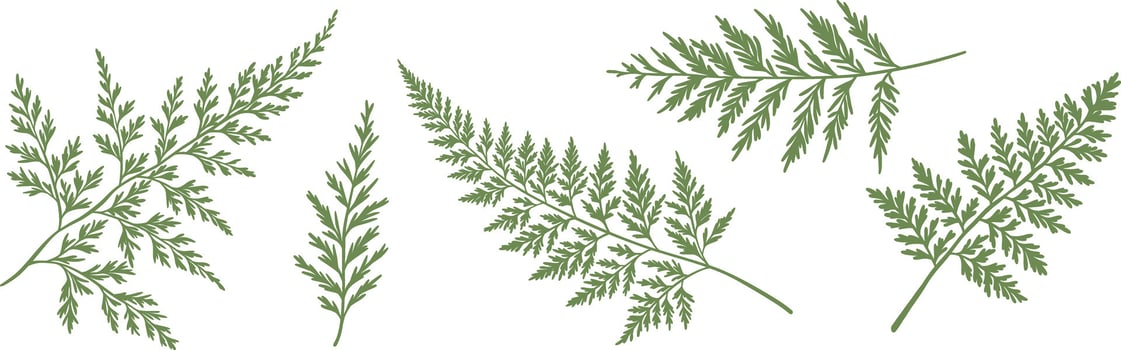 Foliage leaves green silhouette set, fern leaf illustration, decorative plants shape flat clip art, vector