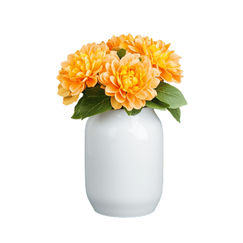 White vase with vibrant orange flowers on transparent background png