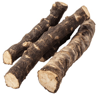 Fresh horseradish roots on a white background png