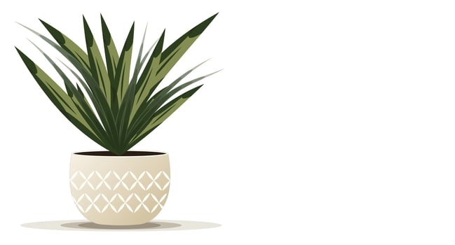Indoor Plant Illustration in a Pot by Sanai Vieira vector