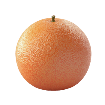 Fresh grapefruit sitting on a white background png