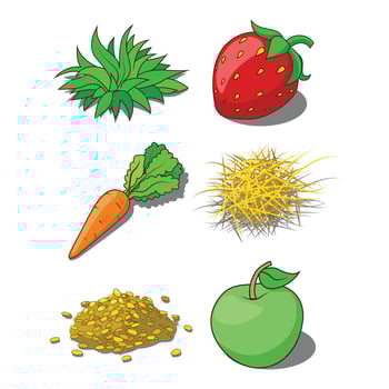 Animals food corn grass hay carrot illustration vector
