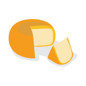 Fresh cheese dairy product Food illustration design vector