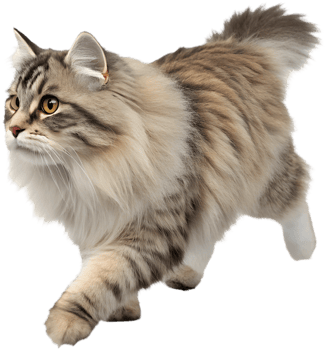 Smooth Running Cat Illusion Clipart for Animated Graphics. . png