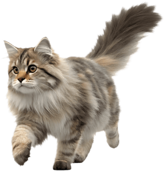 Realistic Running Cat Illusion for Animated Clipart Projects. . png