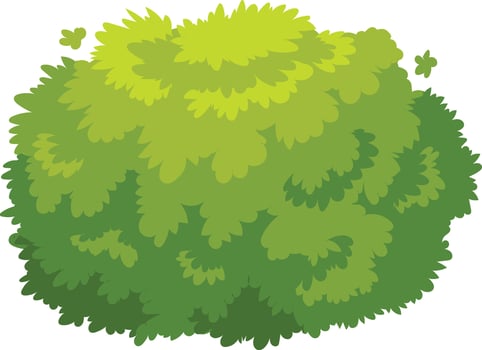 Vibrant, natural bush with dense foliage, ideal for landscaping or adding greenery to a scene vector
