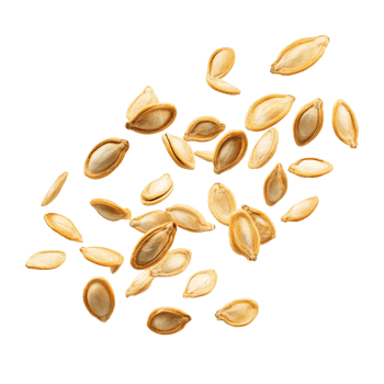 Variety of pumpkin seeds on white png