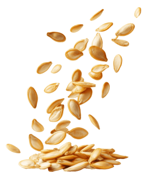 Falling pumpkin seeds captured in mid air display png