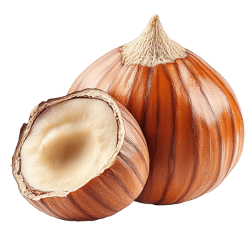 Natural hazelnuts with shells on white background png
