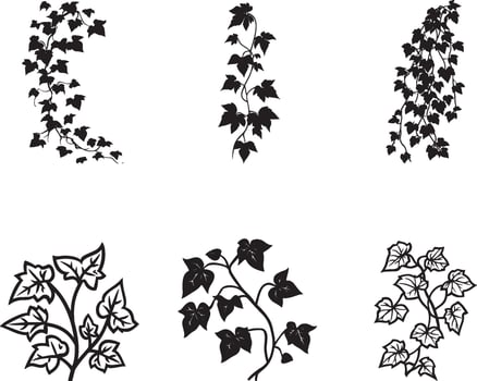 Collection of Ivy clean simple silhouette black vector