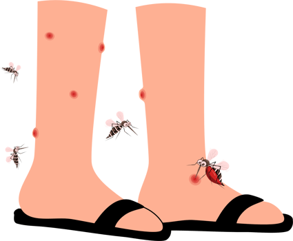 Mosquito biting legs illustration png