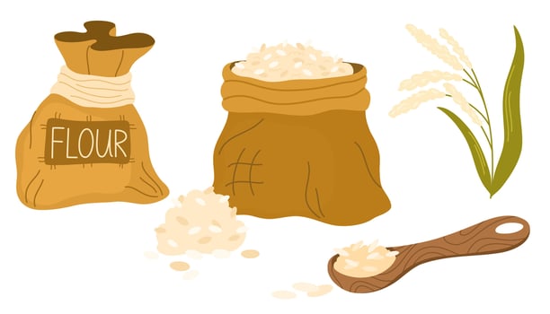 Rice plant, grains in spoon and cereals in package or sack set. Staple food cultivated in paddies. illustration isolated on white background. vector