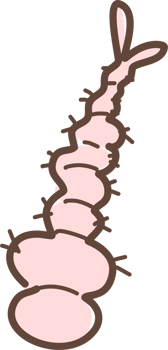 Mosquito larva illustration png