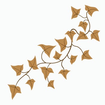 Floral ivy drawing decorative ornament flat design. vector