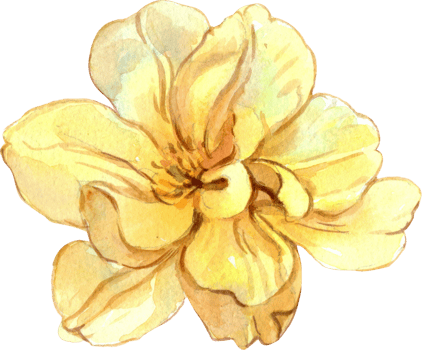 Handdrawn Piece of Sunny Skies Bouquet watercolor png