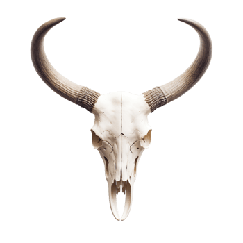 bull skull isolated on transparent background png