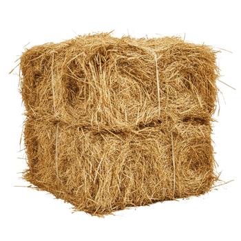 Hay on transparent background High Detail 8K png