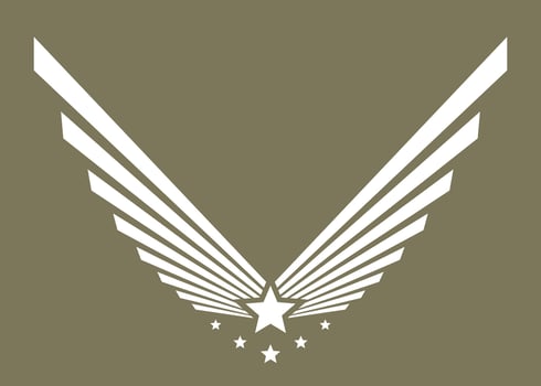 Army logo, military symbol or emblem. Eagle wing with star on label. vector