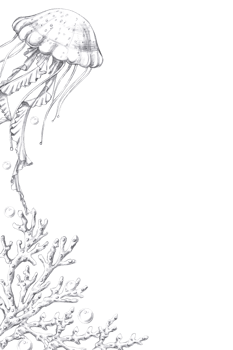 Vertical frame with jellyfish and corals. Isolated pencil graphic illustration for postcards, textiles, restaurant decoration, invitations to a sea party, png
