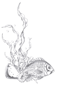Vertical composition with fish, seaweed and corals. Isolated pencil graphic illustration for postcards, textiles, restaurant decoration, invitations to a sea party, png