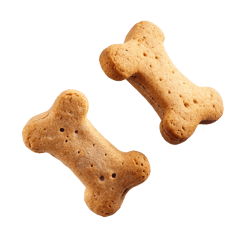 Two Tasty dog biscuits on a transparent background png