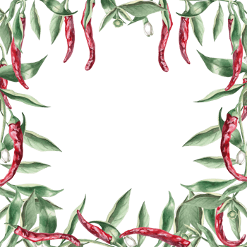 Square frame of branches with hot red peppers. Hand drawn isolated watercolor illustration of vegetables for tableware design, posters, cookbook illustration, fabric and clothing printing png