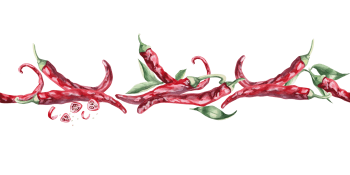Seamless border with hot peppers. Hand drawn isolated watercolor illustration of vegetables for tableware design, posters, cookbook illustration, tablecloth printing png