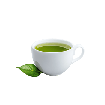 White teacup with green tea and leaf on transparent background png