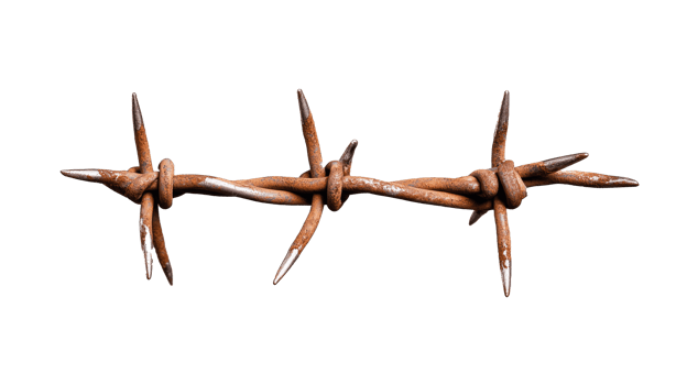 Rusty barbed wire isolated on transparent background png