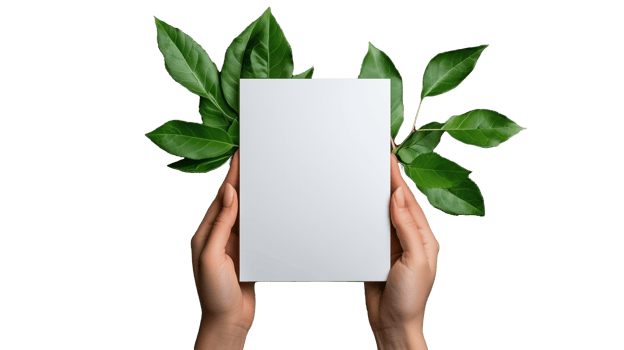 Hands holding blank paper with green leaves in background isolated on transparent background png