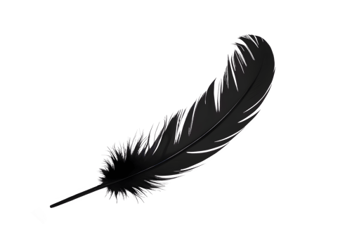 A Black Feather Floating on a Transparent Surface png