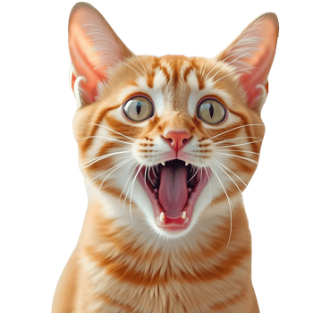 A Surprised-Looking Orange Tabby Cat With Wide Eyes png