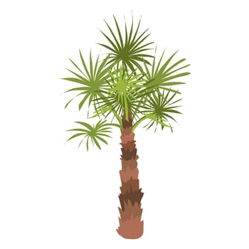 Desert palm tree in flat design. Tropical coconut tree with green leaves. illustration isolated. vector