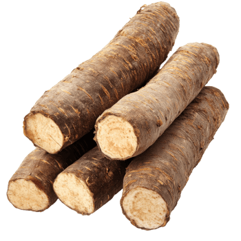 Fresh sunchoke roots in nature png