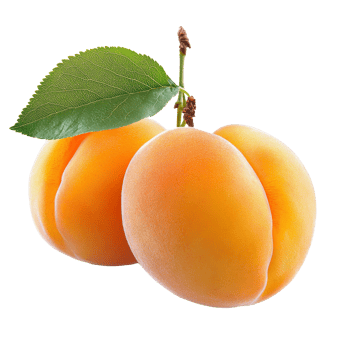 Apricots with green leaves on white png