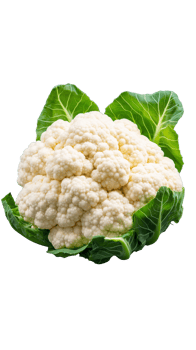 Fresh cauliflower head with green leaves png