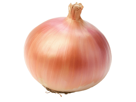 Freshly harvested pink onion with smooth skin png