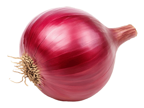 Freshly harvested red onion with smooth skin png