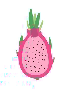 Dragon fruit pitaya half sliced for package design. Ripe pitahaya tropical fruit isolated on white background. vector