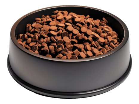 Dog food in ceramic bowl. Isolated png