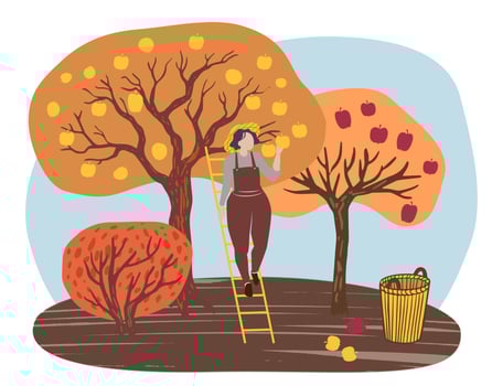 woman picking yellow apples from a tree, with a basket on the ground nearby. The scene has a simple, warm, and autumnal vibe, ideal for themes related to harvest, nature, and rural life. vector