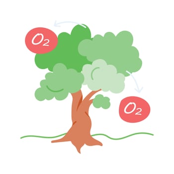 Tree symbolizing oxygen production and carbon sequestration vector