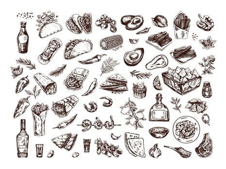 Hand-drawn set of realistic mexican dishes and products. Vintage sketch drawings of Latin American cuisine. Latin America. vector