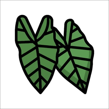 Two green leaves are shown on a white background vector