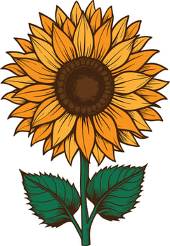 A sunflower with a yellow center and green leaves vector