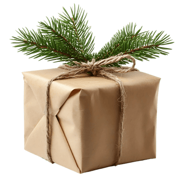 Christmas gift box with twine and pine branch png