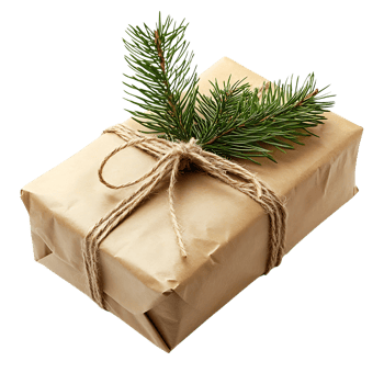 A brown wrapped gift with a spruce branch png