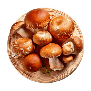 Mushrooms are shown on a wooden plate png