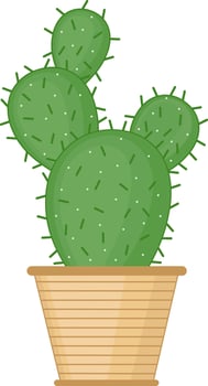 Green Cactus Flower in Pot Illustration vector